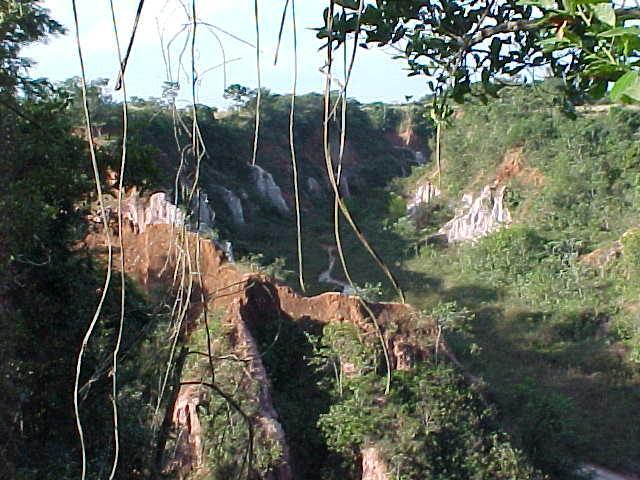 Pousada Fazenda Buracao Mococa Eksteriør billede